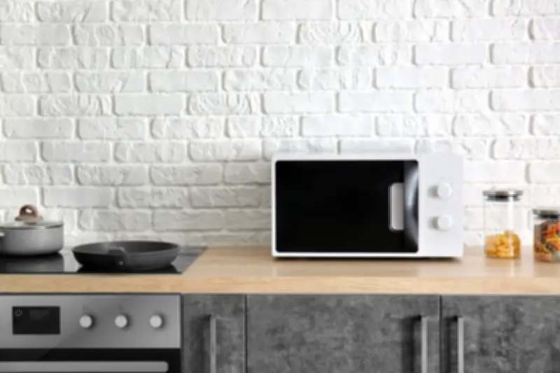 Bolehkah Memasak Nasi Pakai Microwave? Ini Kata Koki