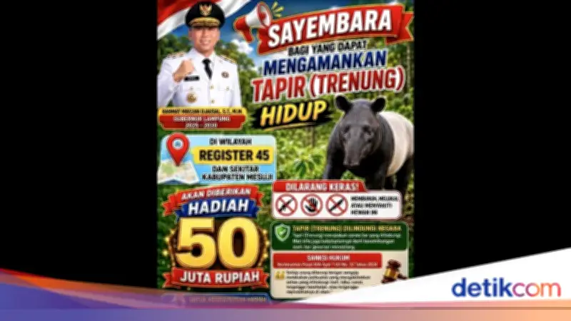 Bupati Mesuji Umumkan Sayembara Tangkap Tapir Hidup-hidup, Hadiah Rp 50 Juta