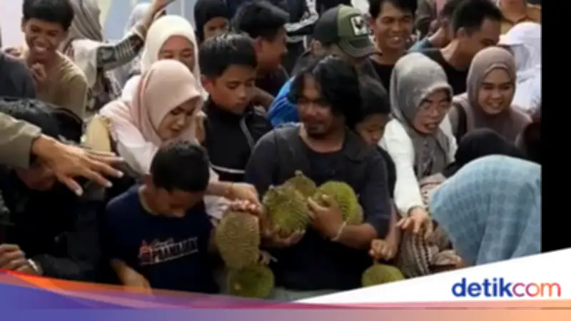 Festival Durian Enrekang Ricuh, Pembeli Tiket Tak Kebagian Buah