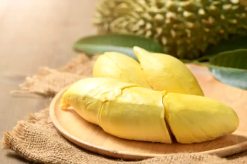 Festival Durian Melaka 2026: Nikmati Musang King & Black Thorn Cuma Rp44.000