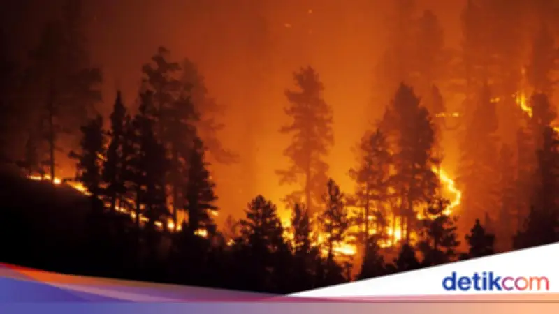 Gelombang Panas Picu Kebakaran Hutan di Prancis, 3 Ribu Orang Dievakuasi