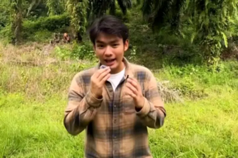 Jerhemynemo Tanam Pohon di Lahan Sawit Ilegal Aceh Lewat Wenanam Sumatra