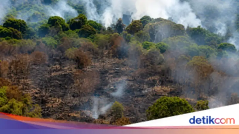 Karhutla di Kotim Kalteng, BNPB Kerahkan Heli Water Bombing