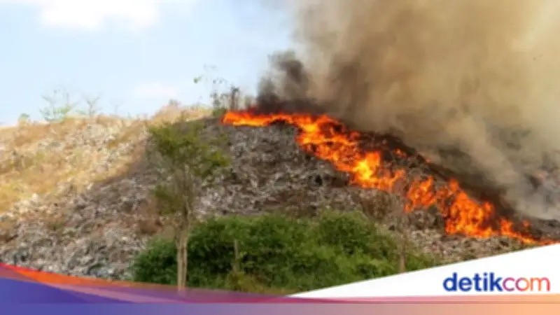 Kebakaran TPA Pakusari Jember Diduga Akibat Puntung Rokok, 500 Meter Persegi Terbakar