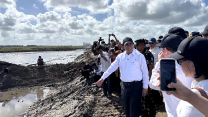 Mentan Amran Diserang Buzzer Soal Program Cetak Sawah Papua, Petani Membela