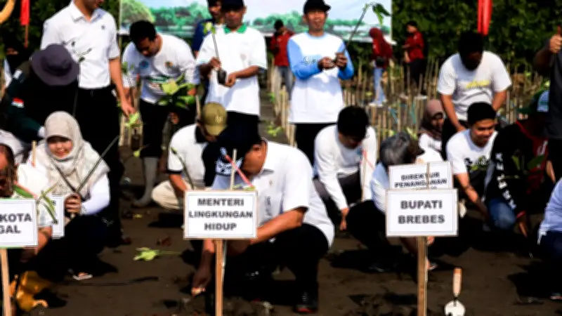 Menteri Jumhur Pimpin Penanaman Mangrove di Brebes untuk Lindungi Pesisir