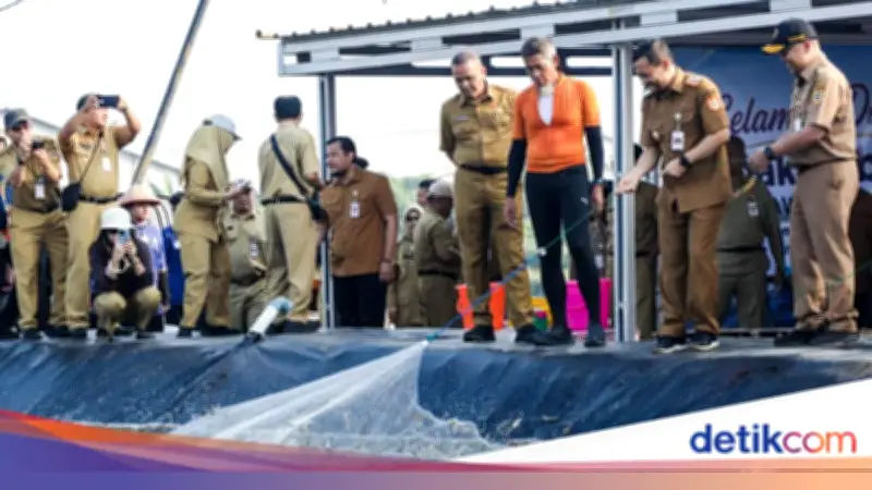 Panen Udang Vaname di KIW Semarang, Bukti Sukses Closed System