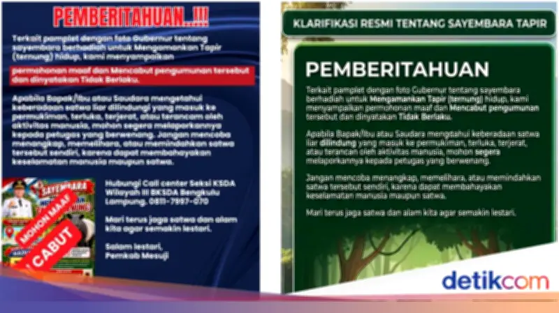 Sayembara Tangkap Tapir Rp 50 Juta di Mesuji Resmi Dibatalkan