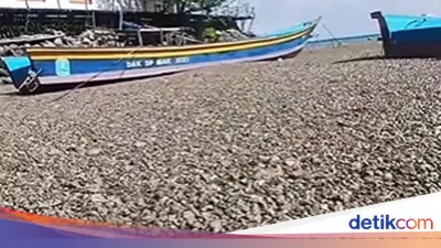 BMKG Ungkap Asal Batu Apung Viral di Perairan Papua dari Gunung Api Bawah Laut