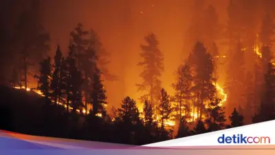 Gelombang Panas Picu Kebakaran Hutan di Prancis, 3 Ribu Orang Dievakuasi