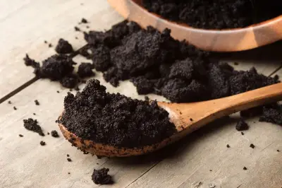 Limbah Ampas Kopi Global Capai 10 Juta Ton per Tahun, Berpotensi Jadi Sumber Energi