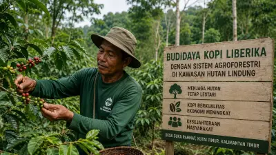 Petani Kaltim Kembangkan Kopi Berkelanjutan di Hutan Lindung