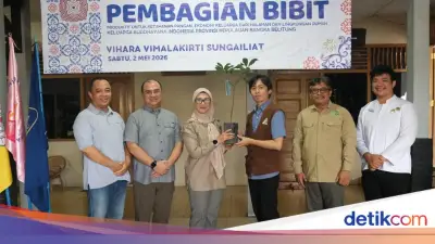 Politisi Gerindra Bagikan 5.000 Bibit Pohon dan Pupuk ke Warga Sungailiat