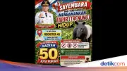 Bupati Mesuji Umumkan Sayembara Tangkap Tapir Hidup-hidup, Hadiah Rp 50 Juta