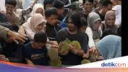 Festival Durian Enrekang Ricuh, Pembeli Tiket Tak Kebagian Buah
