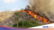 Kebakaran TPA Pakusari Jember Diduga Akibat Puntung Rokok, 500 Meter Persegi Terbakar