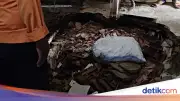 Tanah Amblas di Bogor, 5 Jiwa Terancam Keselamatan