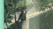 WNA Diduga Jadi Korban Copet di Rasuna Said, Polisi Selidiki